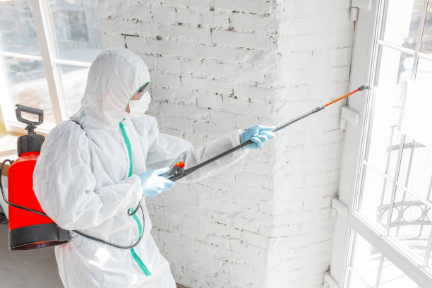 Best Emergency Mold Remediation  in Coldstream, KY