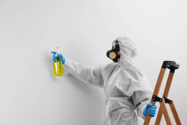 Biohazard Mold Removal in Coldstream, KY